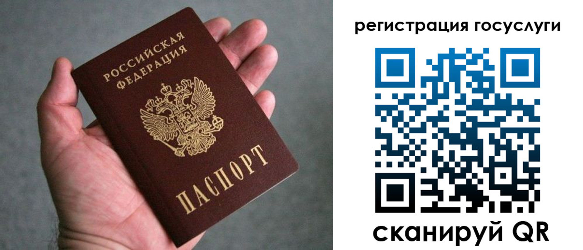 прописка поиск в Отрадном